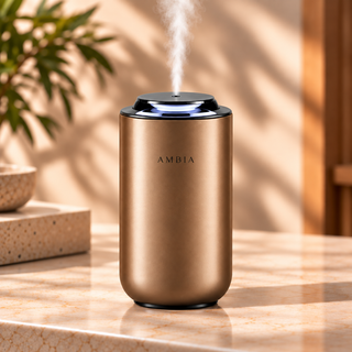 Ambia Home or Car Diffuser